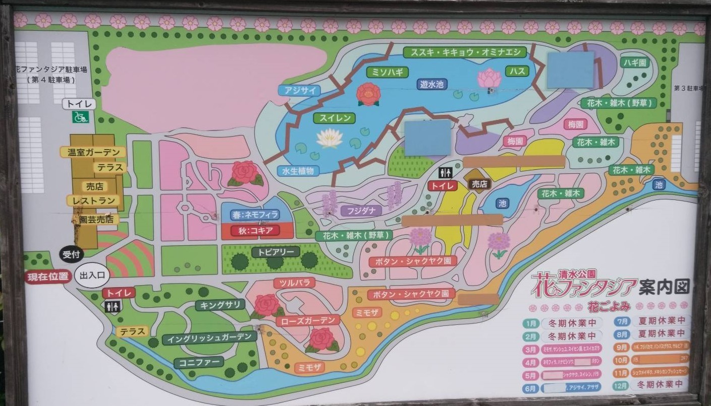 清水公園 花ファンタジアは素敵 バラ園は特におすすめ 熟年のスローライフ生活